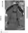 Fig. 19 - REDUCED DRAG WINGSUIT