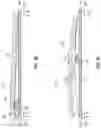 Fig. 05 - Deicing boot utilizing electromagnetism and magnetic for boot inflation