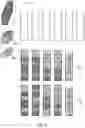 Fig. 06 - Container packing system