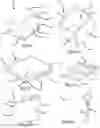 Fig. 19 - Load bearing structure