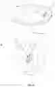 Fig. 16 - LIDS FOR BEVERAGE CONTAINERS