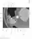 Fig. 09 - Elevator overspeed governor with automatic reset