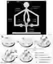 Fig. 01 - A MICROFLUIDIC ANALYTICAL PLATFORM FOR AUTONOMOUS IMMUNOASSAYS