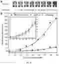 Fig. 08 - A MICROFLUIDIC ANALYTICAL PLATFORM FOR AUTONOMOUS IMMUNOASSAYS