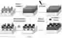 Fig. 03 - Localized functionalization of nanotextured surfaces
