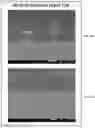 Fig. 04 - Localized functionalization of nanotextured surfaces