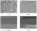 Fig. 08 - Localized functionalization of nanotextured surfaces