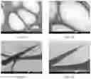 Fig. 10 - Localized functionalization of nanotextured surfaces
