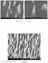 Fig. 12 - Localized functionalization of nanotextured surfaces