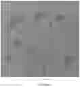 Fig. 05 - Environmentally benign production of graphene suspensions