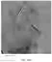Fig. 06 - Environmentally benign production of graphene suspensions