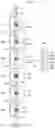 Fig. 07 - MINERAL FUNCTIONAL WATER