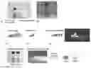 Fig. 01 - Composition and method for producing a molded body from a highly pure, transparent quartz glass by means of additive manufacturing