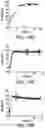 Fig. 13 - METHOD OF ELECTROSTATIC CHARGE REDUCTION OF GLASS BY SURFACE CHEMICAL TREATMENT