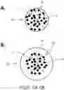 Fig. 02 - Enhanced efficiency fertilizer with embedded powder composition