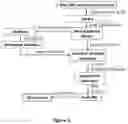 Fig. 02 - Isolation of pure cannabinoids from 