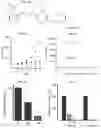 Fig. 06 - KDM4 INHIBITORS