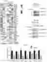 Fig. 08 - KDM4 INHIBITORS