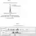 Fig. 09 - KDM4 INHIBITORS