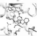 Fig. 03 - CXCR4 CHEMOKINE RECEPTOR MODULATORS
