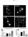 Fig. 10 - CXCR4 CHEMOKINE RECEPTOR MODULATORS