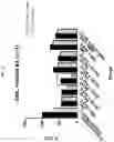 Fig. 28 - CXCR4 CHEMOKINE RECEPTOR MODULATORS