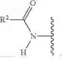 Fig. 07 - RORC2 INHIBITORS AND METHODS OF USE THEREOF