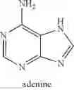 Fig. 115 - PRC1 inhibitors and methods of treatment therewith