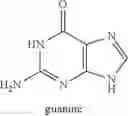 Fig. 116 - PRC1 inhibitors and methods of treatment therewith