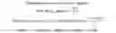 Fig. 02 - Deuterated N-(5-(2,3-dihydrobenzo[b][1,4]dioxine-6-carboxamido)-2-fluorophenyl)-2-((4-ethylpiperazin-1-yl)methyl)quinoline-6-carboxamide