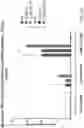 Fig. 11 - Substituted-3H-imidazo[4,5-c]pyridine and 1H-pyrrolo[2,3-c]pyridine series of novel Ectonucleotide Pyrophosphatase/Phosphodiesterase-1 (ENPP1) and stimulator for interferon genes (STING) modulators as cancer immunotherapeutics