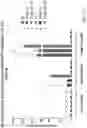 Fig. 12 - Substituted-3H-imidazo[4,5-c]pyridine and 1H-pyrrolo[2,3-c]pyridine series of novel Ectonucleotide Pyrophosphatase/Phosphodiesterase-1 (ENPP1) and stimulator for interferon genes (STING) modulators as cancer immunotherapeutics