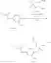 Fig. 121 - Substituted-3H-imidazo[4,5-c]pyridine and 1H-pyrrolo[2,3-c]pyridine series of novel Ectonucleotide Pyrophosphatase/Phosphodiesterase-1 (ENPP1) and stimulator for interferon genes (STING) modulators as cancer immunotherapeutics