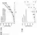 Fig. 14 - Substituted-3H-imidazo[4,5-c]pyridine and 1H-pyrrolo[2,3-c]pyridine series of novel Ectonucleotide Pyrophosphatase/Phosphodiesterase-1 (ENPP1) and stimulator for interferon genes (STING) modulators as cancer immunotherapeutics
