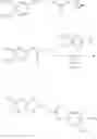 Fig. 49 - Substituted-3H-imidazo[4,5-c]pyridine and 1H-pyrrolo[2,3-c]pyridine series of novel Ectonucleotide Pyrophosphatase/Phosphodiesterase-1 (ENPP1) and stimulator for interferon genes (STING) modulators as cancer immunotherapeutics