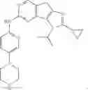 Fig. 13 - Pyridylamino substituted heterotricyclic compounds, and preparation method and pharmaceutical use thereof