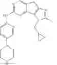 Fig. 17 - Pyridylamino substituted heterotricyclic compounds, and preparation method and pharmaceutical use thereof