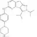 Fig. 26 - Pyridylamino substituted heterotricyclic compounds, and preparation method and pharmaceutical use thereof