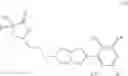 Fig. 28 - Modulators of the sigma-2 receptor and their method of use