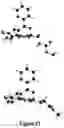 Fig. 49 - Short-acting benzodiazepine salts and their polymorphic forms