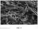 Fig. 07 - Polymorphic form of compound, preparation method and use thereof