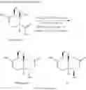 Fig. 12 - Sesquiterpenoid analogs