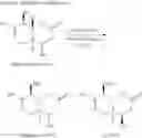 Fig. 14 - Sesquiterpenoid analogs