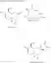 Fig. 16 - Sesquiterpenoid analogs
