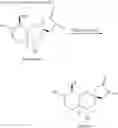Fig. 18 - Sesquiterpenoid analogs