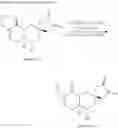 Fig. 23 - Sesquiterpenoid analogs