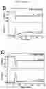 Fig. 06 - Method for making a solid-supported phospholipid bilayer