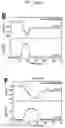 Fig. 08 - Method for making a solid-supported phospholipid bilayer