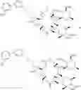 Fig. 22 - CONVERGENT PROCESSES FOR PREPARING MACROLIDE ANTIBACTERIAL AGENTS