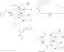Fig. 97 - CONVERGENT PROCESSES FOR PREPARING MACROLIDE ANTIBACTERIAL AGENTS